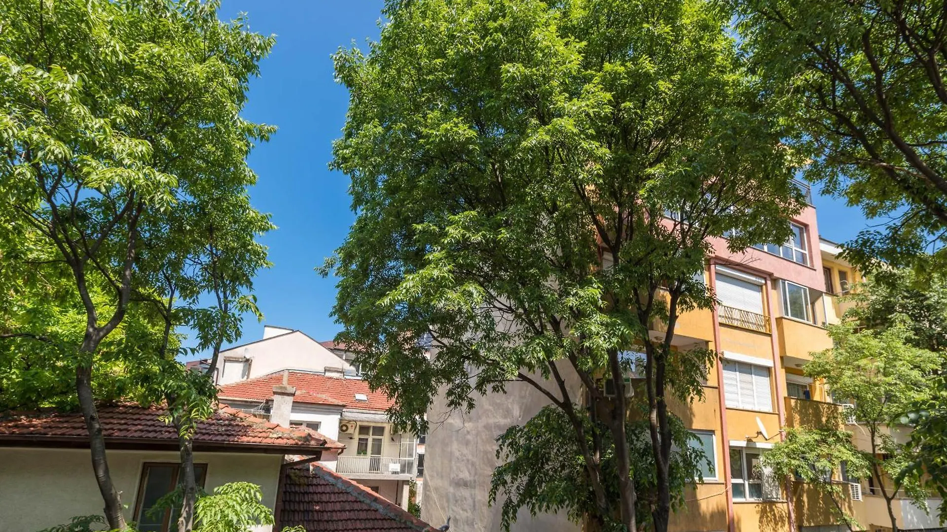 Varna Central Apartment & Studio